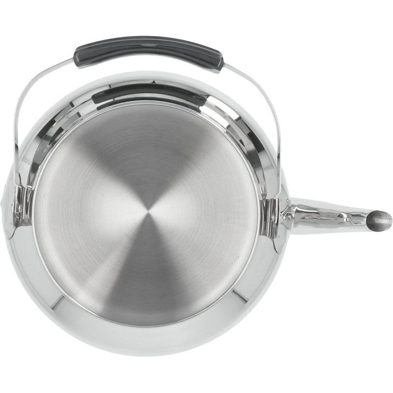 Demeyere Resto Tea Kettle & Reviews Wayfair